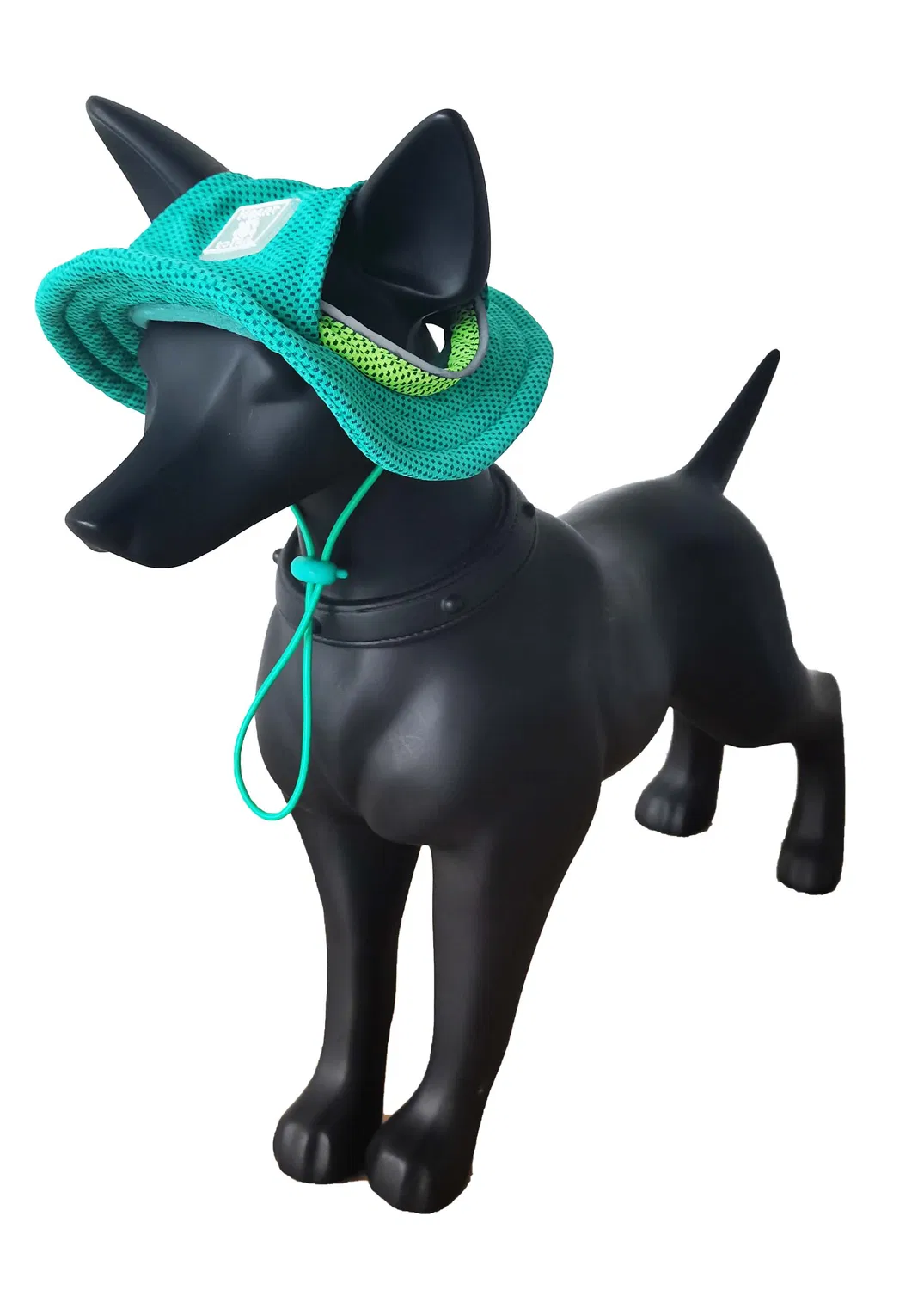 알디 뉴 서머 스윔