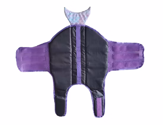 알디 여름 수영